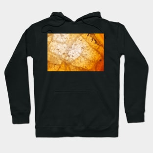 Yellow agate mineral super macro Hoodie